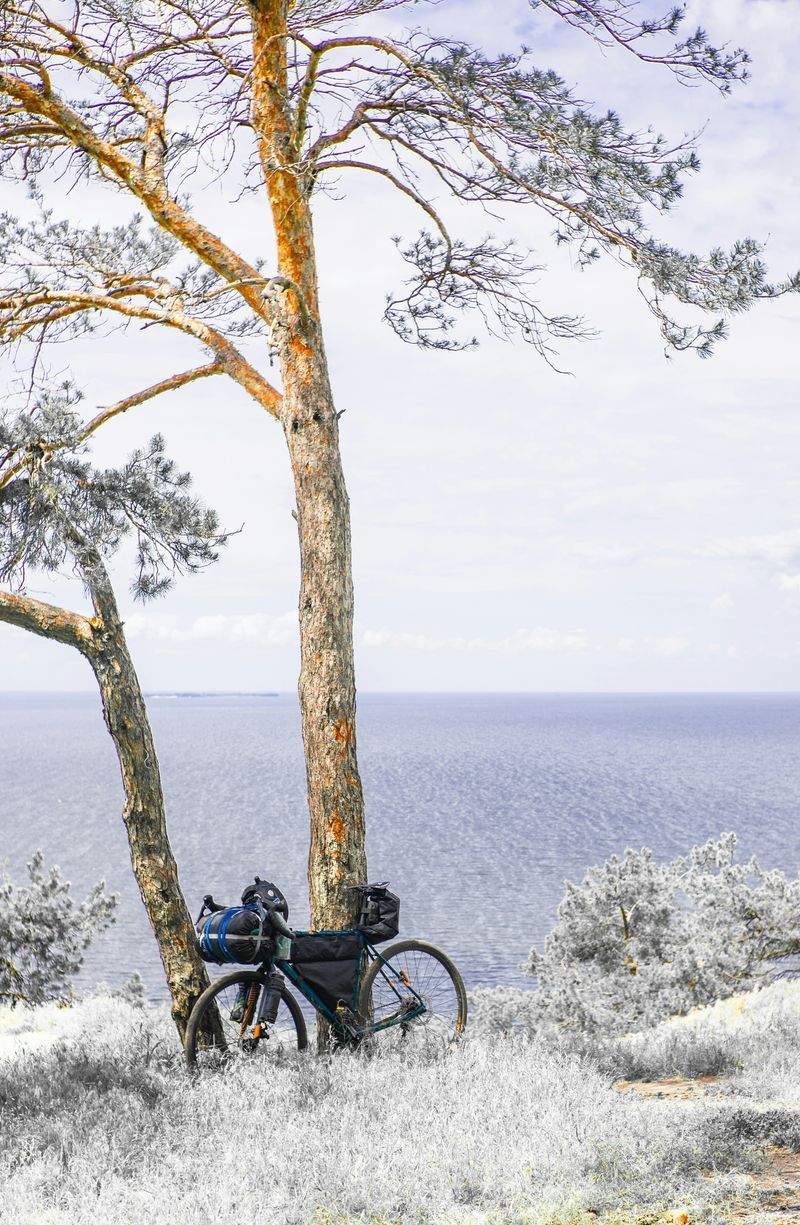 趣味の楽園株式会社 - Image 10