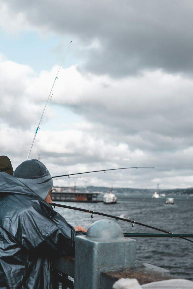 趣味の楽園株式会社 - Image 4